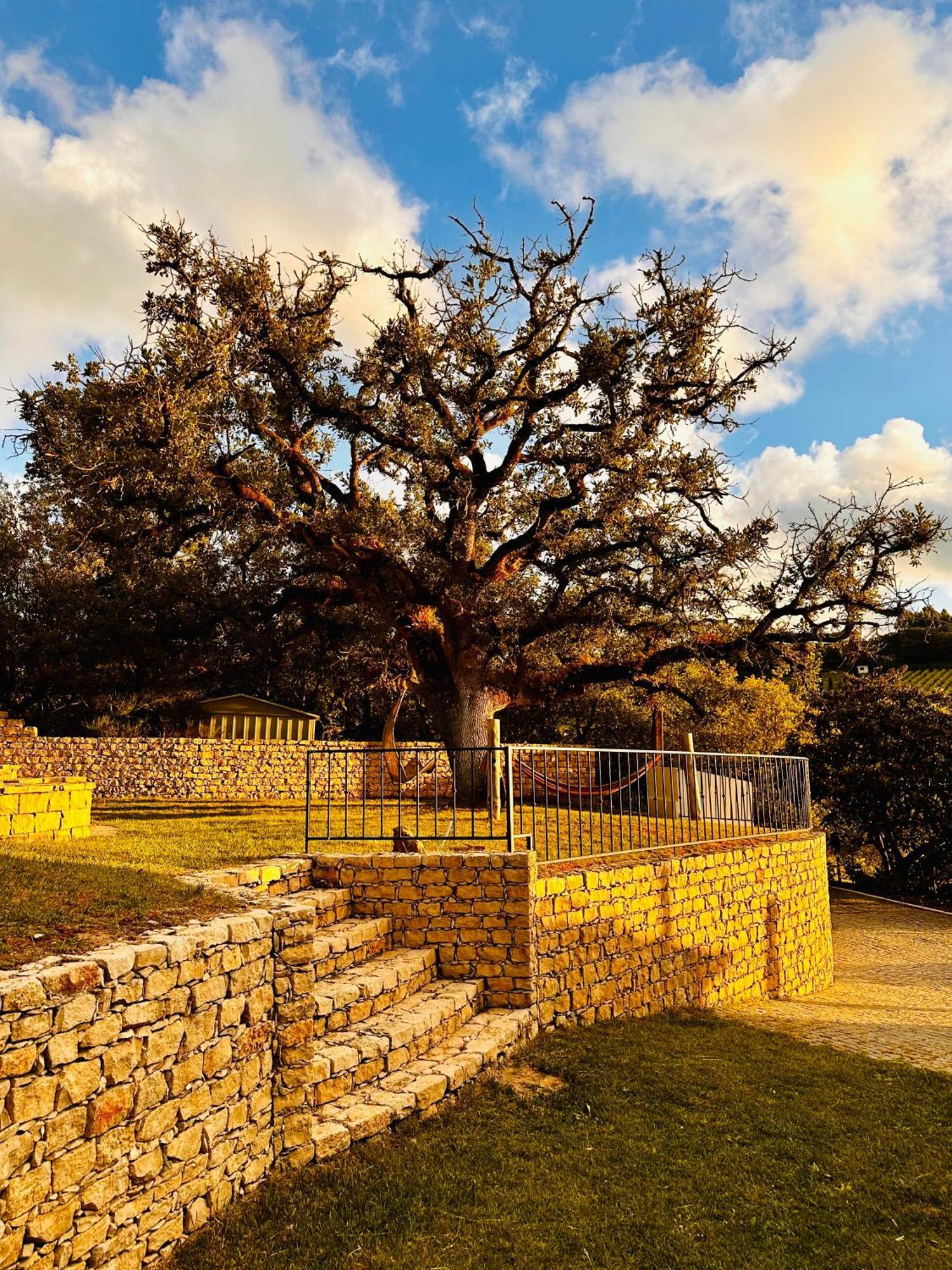 Quinta Boa Vida Villa Alcobaça Buitenkant foto